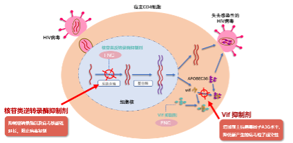 918博天堂(中国)有限公司官网
